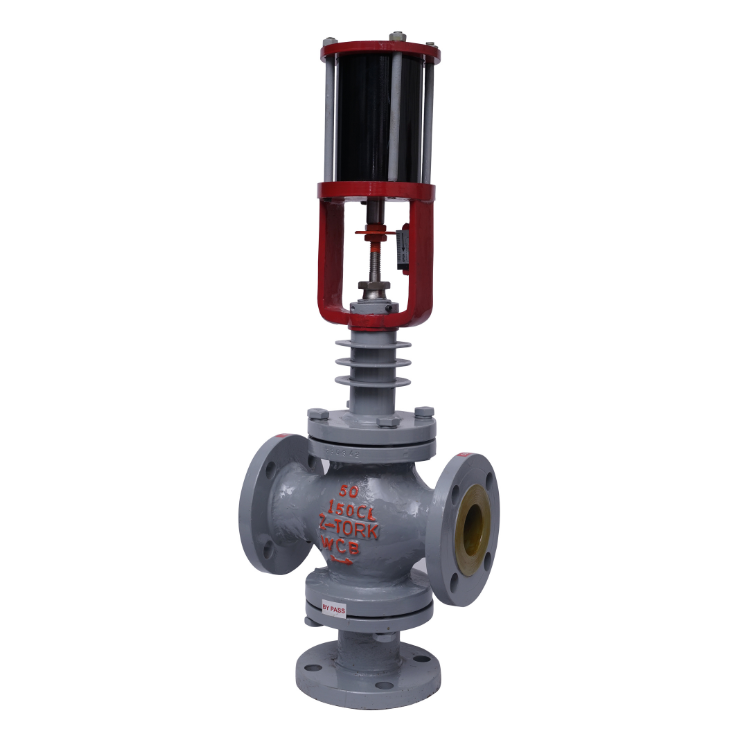 Globe Type Control Valve (1)