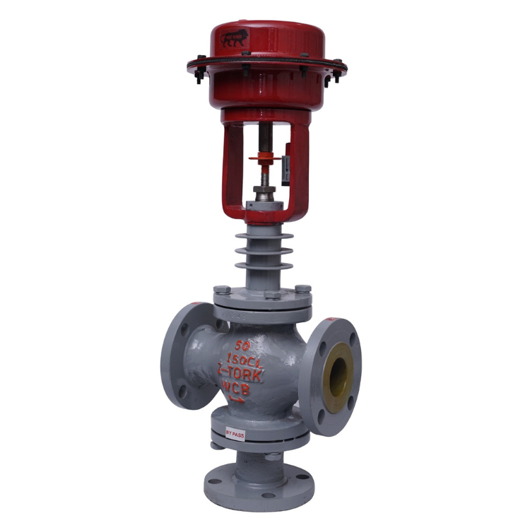 Globe Type Control Valve (2)